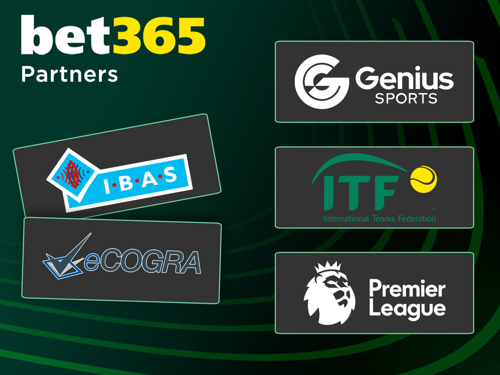 Meet Bet365's main partners.
