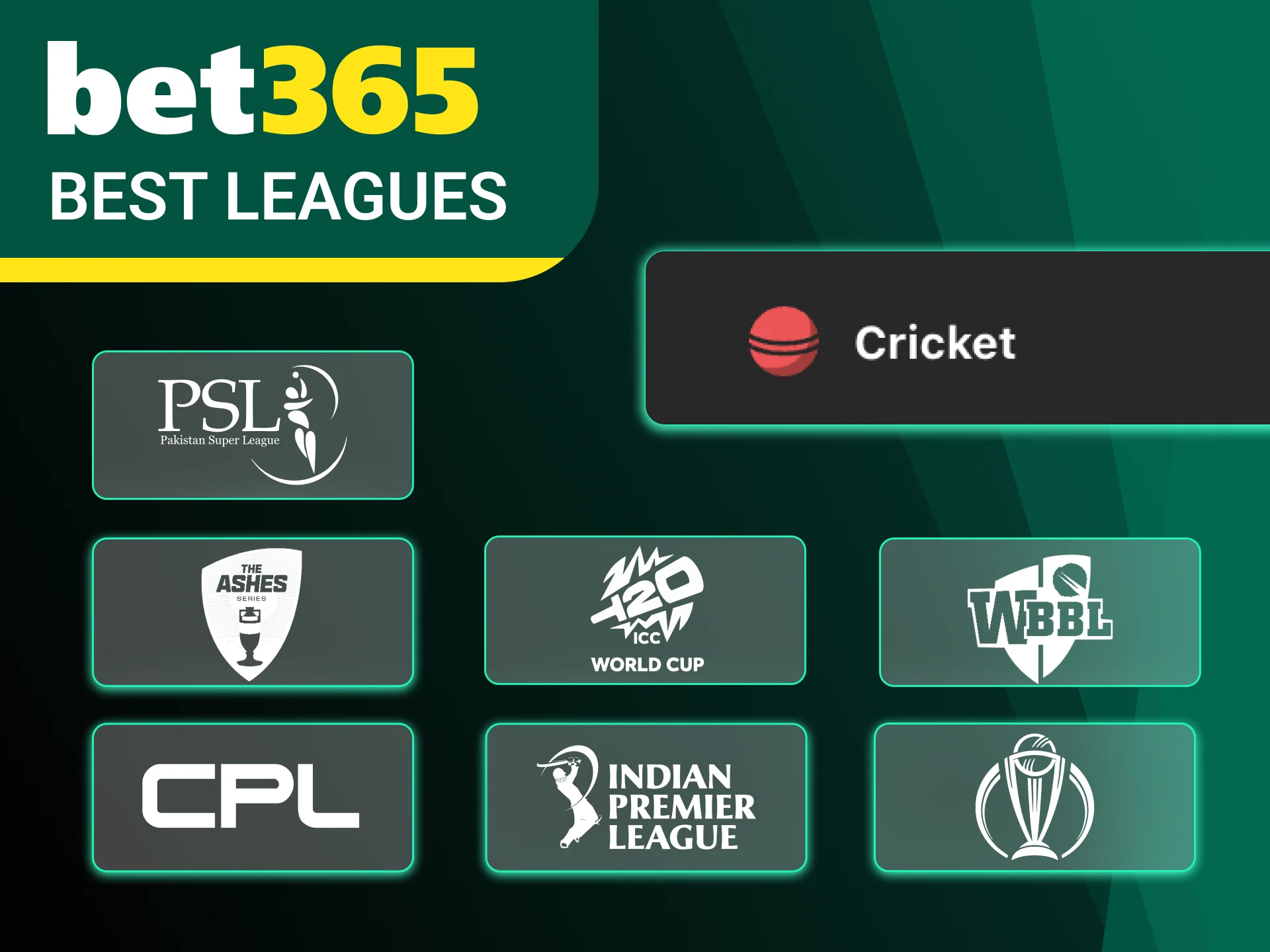 Bet on top cricket leagues like IPL and World Cup at Bet365.