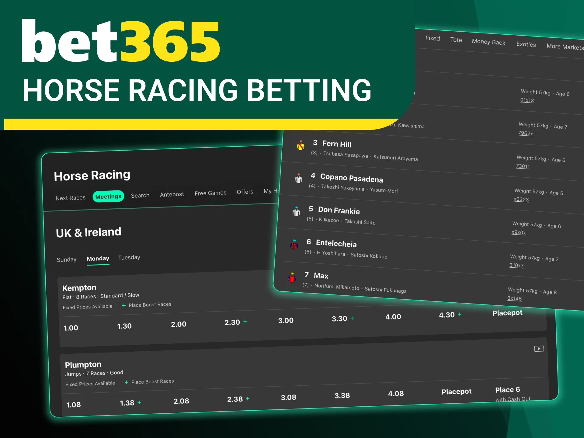 Place your horse racing bets easily and win with Bet365.